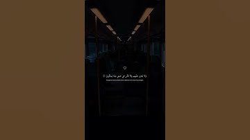 سورة النحل / قرآن كريم 🤍