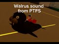 Walrus sound from PTFS￼