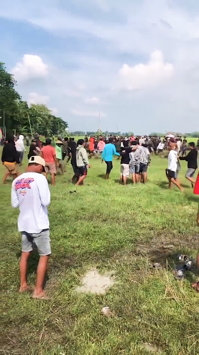 ORKES PATI FULL TAWURAN 2024