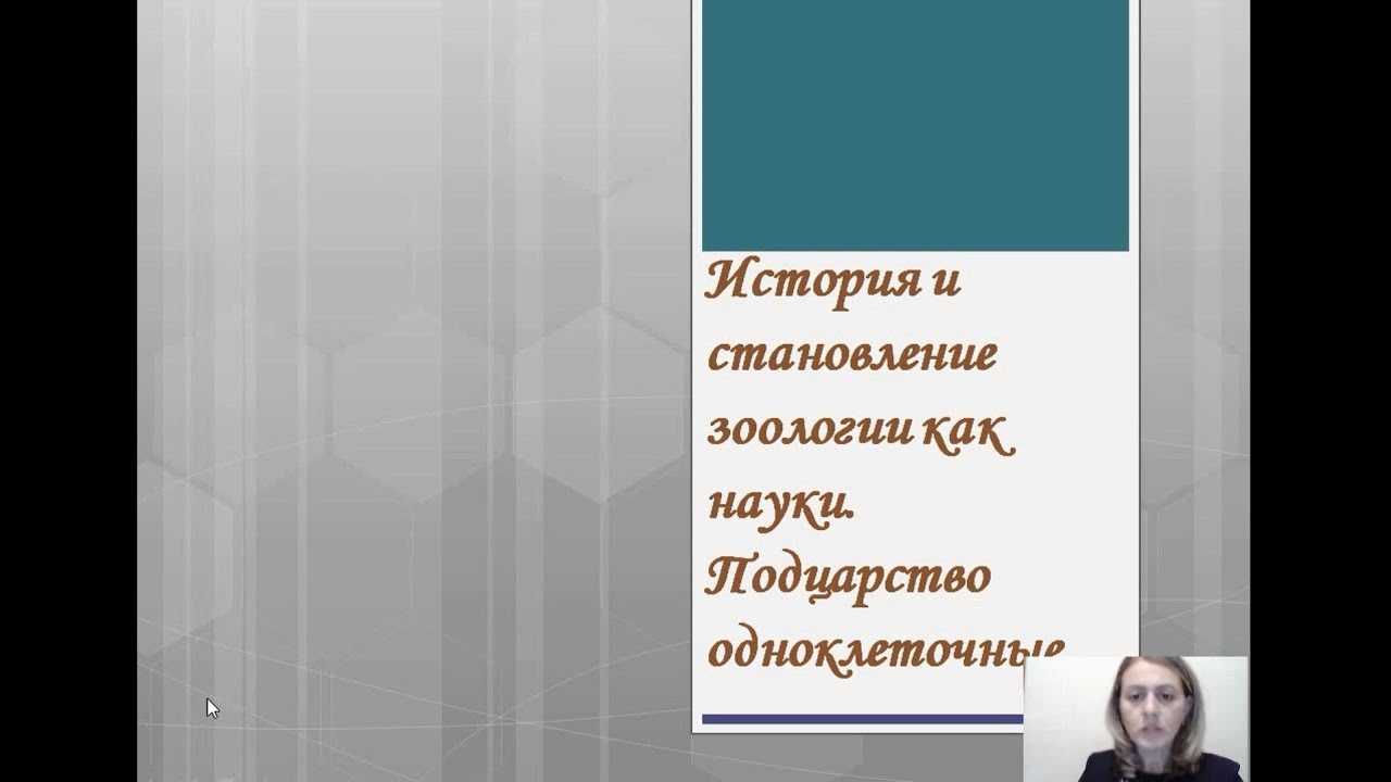 Зоология История развития зоологии как науки Подцарство одноклеточные 2 ...