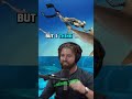 Forrest Galante's Encounter with a Lemon Shark | Insights &amp; Precautions - Joe Rogan Experience