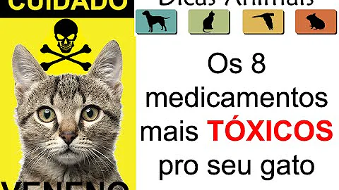Pode dar Rivotril para o gato?