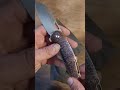 the Kansept swan modle 6 is beautiful!! #edc #blade  #review