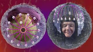 Womans Kundalini Portholes
The video shows the left and right sides of a dual porthole display. On the right is the previous movie, see the description here: https://youtu.be/pUIFrJTaurE. The left viewport will play along with the same content as the right but from a different point of view. From the top. This is the cast: Feminine Vibes, Star Center, Original Mind, Sparkle Star, Cone, Black Hole, Hood, Me, Drop, Receive In, Tuning, Streaming, Drops Ground, Brain Cell, Send Out. The movie is about a carolyoga practice developed after the core inspiration at the Outer Solstice 2017, see it here: https://youtu.be/112DTeYHNKg. Womans Kundalini Portholes