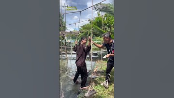 Ai chơi được trò này #short #nguyenduy #cachkiemtien #cachlamgiau #biquyetthanhcong