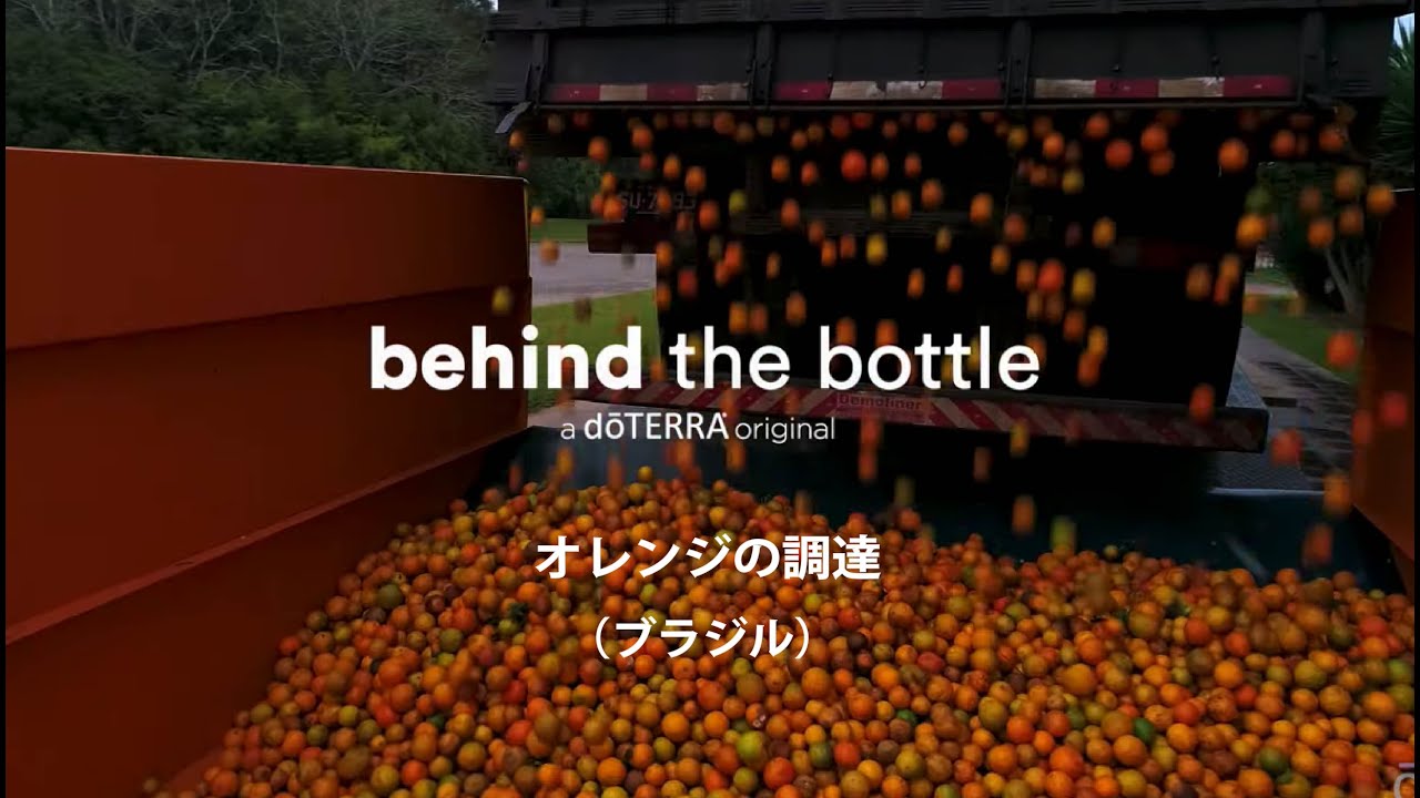 Behind the Bottle：オレンジの調達（ブラジル）