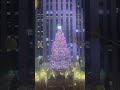 Rockefeller Christmas Tree, NYC 2023