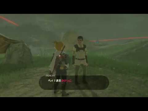 ゼルダの伝説　ブレス オブ ザ ワイルド_かけっこ_自己満足TA_0分52秒96