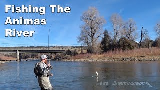 Animas River in January - Fishing Native American Ute Land - McFly Angler Episode 41