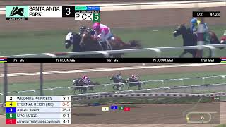 Vidéo de la course PMU RACE 3