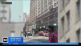 Bee hive found in traffic light in Flatiron District