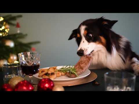 Video: Captopril - Seznam Zdravil In Receptov Za Hišne, Pse In Mačke