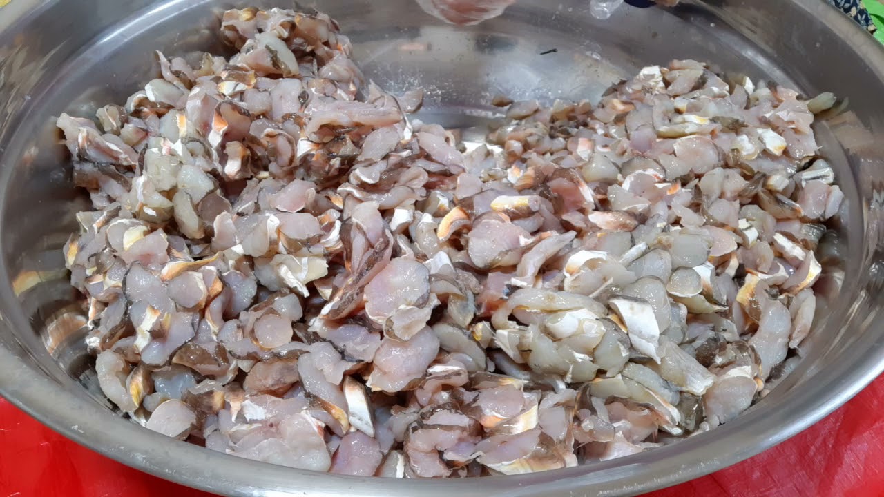 #김월랑# 천연김치 식해 010  4451  4060  #횟데기 생선손질 생선김치 설명하기(판매)# kBS6시 내고향 방송된집(2022년1월21일)