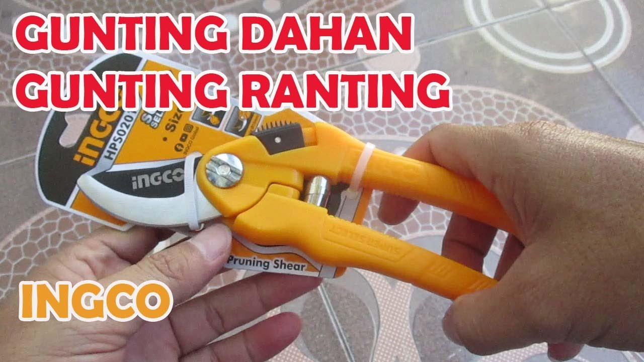 Gunting Dahan, Gunting Ranting Ingco - YouTube