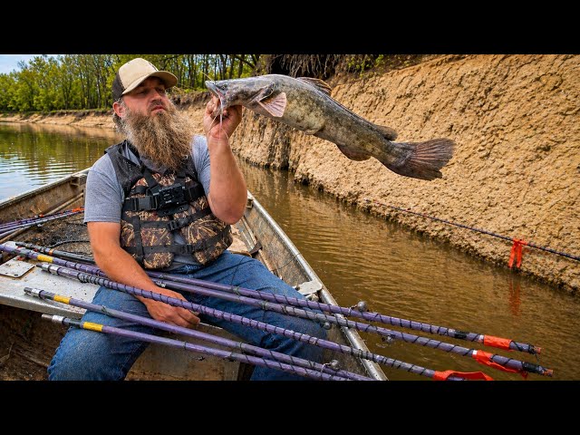 bank pole fishing wisconsin Poles Green 6, 8, and 10 feet Hook and Arrow This Setup Catches GIANT Flatheads