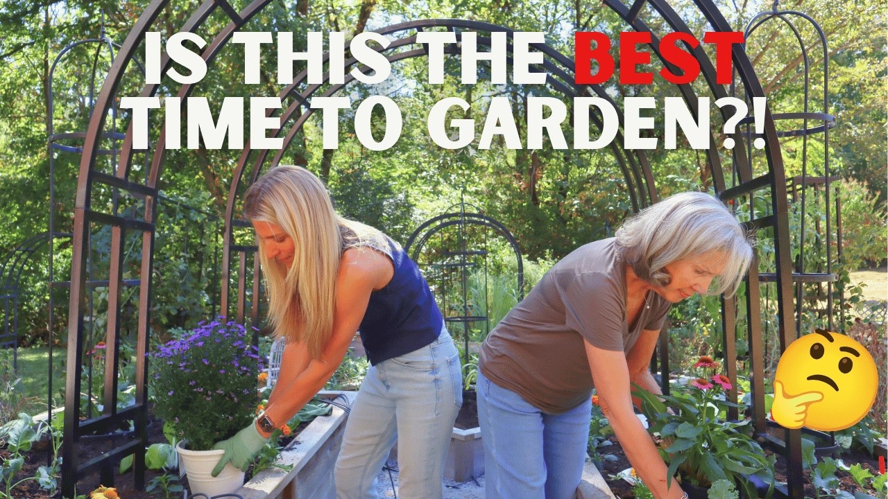 5 EASY Steps to Plant A Fall Garden (The BEST Time To Grow🤫)