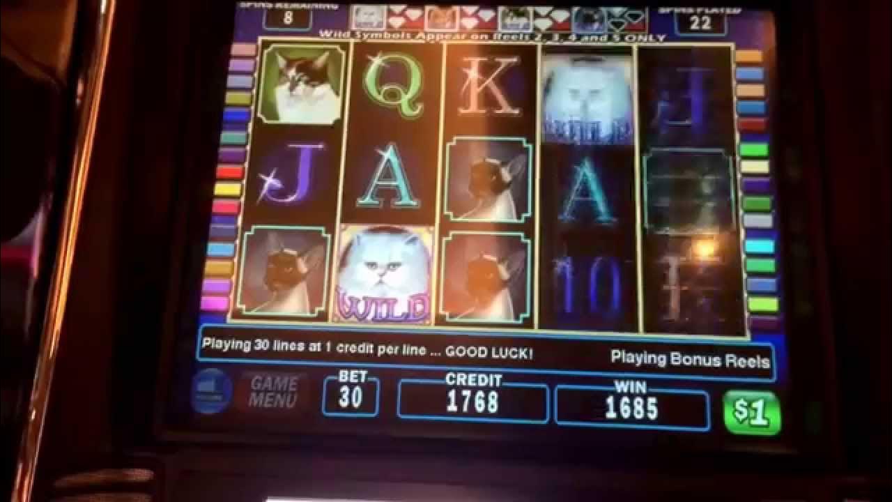 Kitty Glitter BIGGEST HANDPAY ON YOUTUBE 30 bet huge bonus win hi