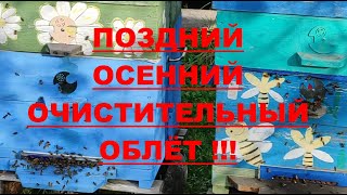 видео: ИЗОЛЯЦИЯ МАТОК 2 МЕСЯЦА!!! НЕТ РАСПЛОДА - НЕТ ПРОБЛЕМ !!! картинка: ИЗОЛЯЦИЯ МАТОК 2 МЕСЯЦА!!! НЕТ РАСПЛОДА - НЕТ ПРОБЛЕМ !!!