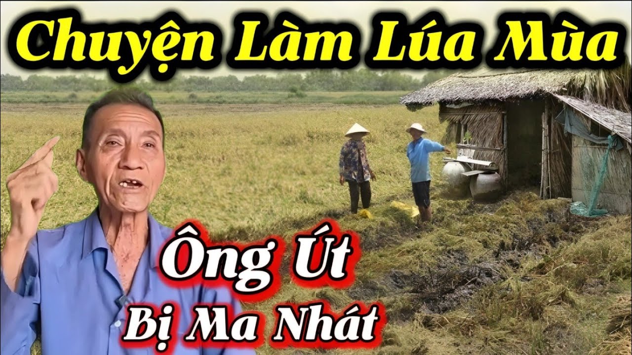Chuyện Làm Lúa Mùa Ông Út Bị Ma Nhát...