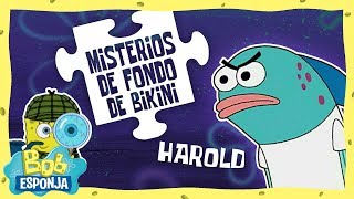 Misterios de Fondo de Bikini | Ep.3 | ¿Harold es una bomba de tiempo? | Bob Esponja en Español