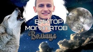 538. Виктор Могилатов - Волчица. НОВИНКИ ШАНСОНА.