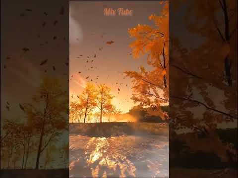 راحة نفسية تواشيح النقشبندي