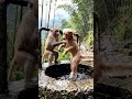 monkey and Billi help #funny #shortvideo 🐱🐒