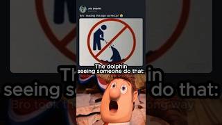The Dolphin Saw Everything 🐬 The Dolphin Saw Everything 🐬