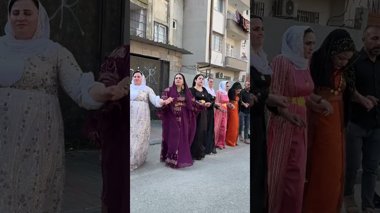 Reşit ronida 🎶Emin ronida 🎶mehmetcan ronida Malabata karadumanlera  