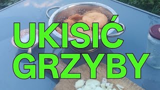 Download Lagu Kiszenie rydzów. a jakie ty grzyby kisisz? MP3 Download Lagu Kiszenie rydzów. a jakie ty grzyby kisisz? MP3