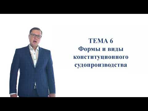 Конституционный судебный процесс. Тема 6