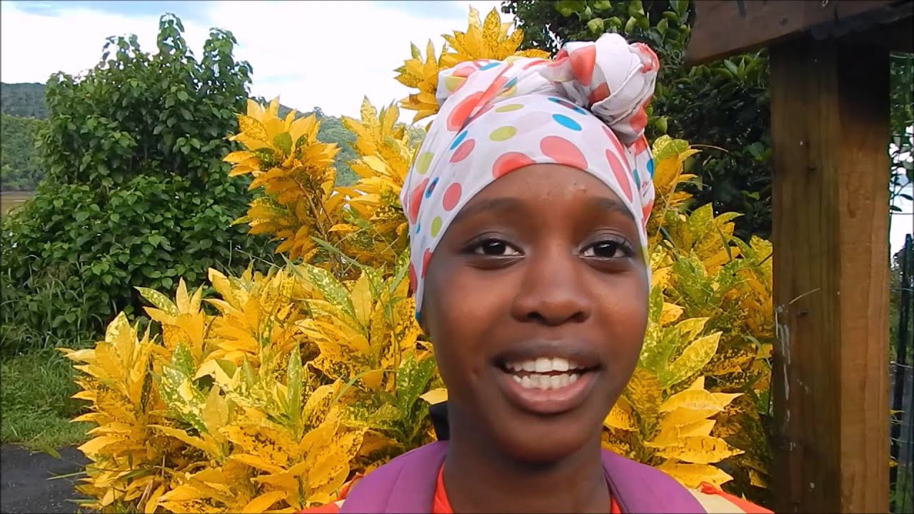 Les dessous du lagon - Collège M'Tzamboro 2013-2014