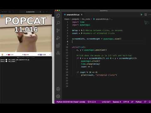ใช้ Python ช่วยกด PopCat (แบบที่ 1)
