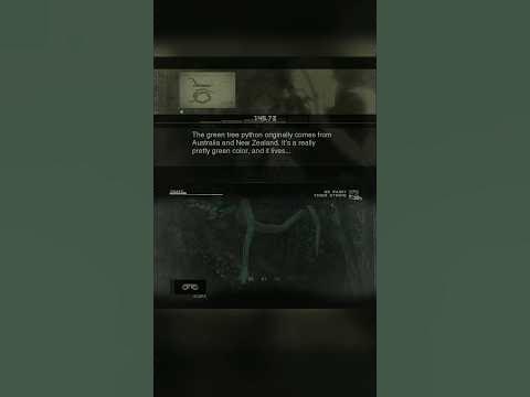Green Tree Python- How does it taste? | Metal Gear Solid 3 Snake Eater ...