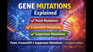 Gene Mutations Explained | Point, Frameshift & Suppressor Mutations | Complete Lecture