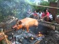 Babi Guling