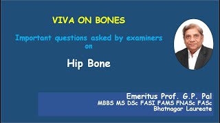 8  Viva on hip bone  parts, side determination, anatomical position