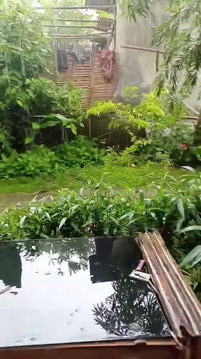 hujan hujan ngopi