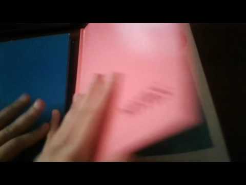 ჩემი და ჩემი დის დგიურები