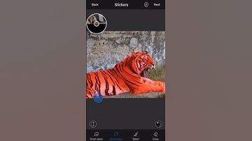 Cut Out, Smart selection and Superimpose image to a background image using LightX
