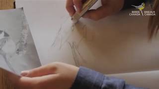 Sketching Workshop Step 5 - Removing unneeded lines and adding detail