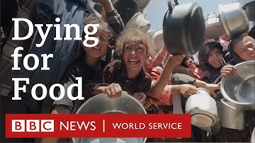 Gaza: Dying for Food - BBC World Service Documentaries