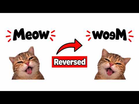 Famous Cat Memes Normal vs Reversed Part 5