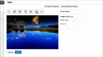 Wordpress Tutorial - The Image Editor