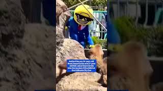 THEY JUMPED IN?! 🐒😱 (Arrested in Japan) 🚨🔥 #PunchTheMonkey #JapanNews #shorts