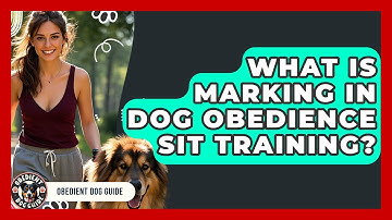 What Is Marking In Dog Obedience Sit Training? - Obedient Dog Guide