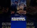 Zarafshon shahridagi oltin zavodida noodatiy o‘g‘irlik fosh etildi