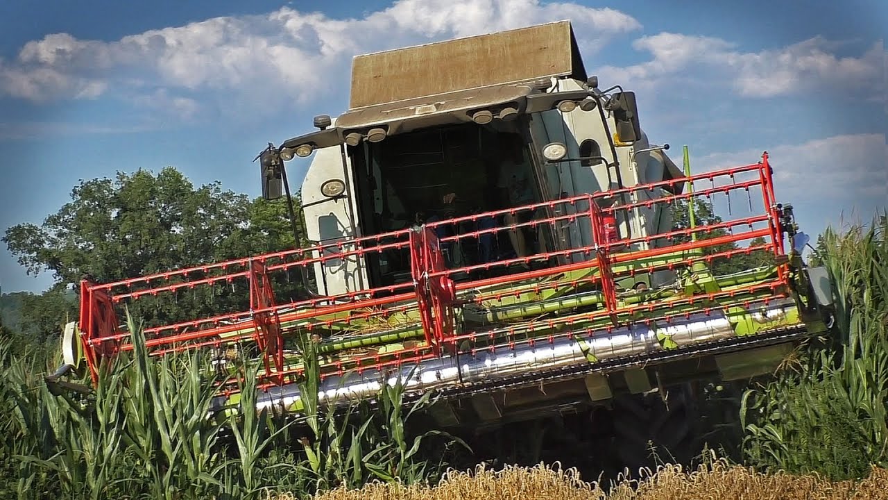 Claas vs John Deere | Weizen dreschen 2018