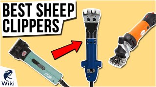 8 Best Sheep Clippers 2020