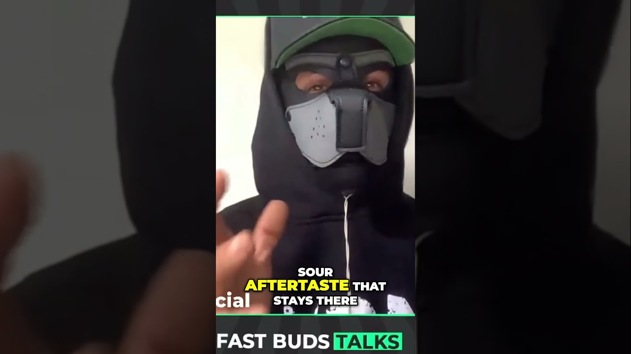 Purple Lemonade Fast Flowering | dogdoctorofficial